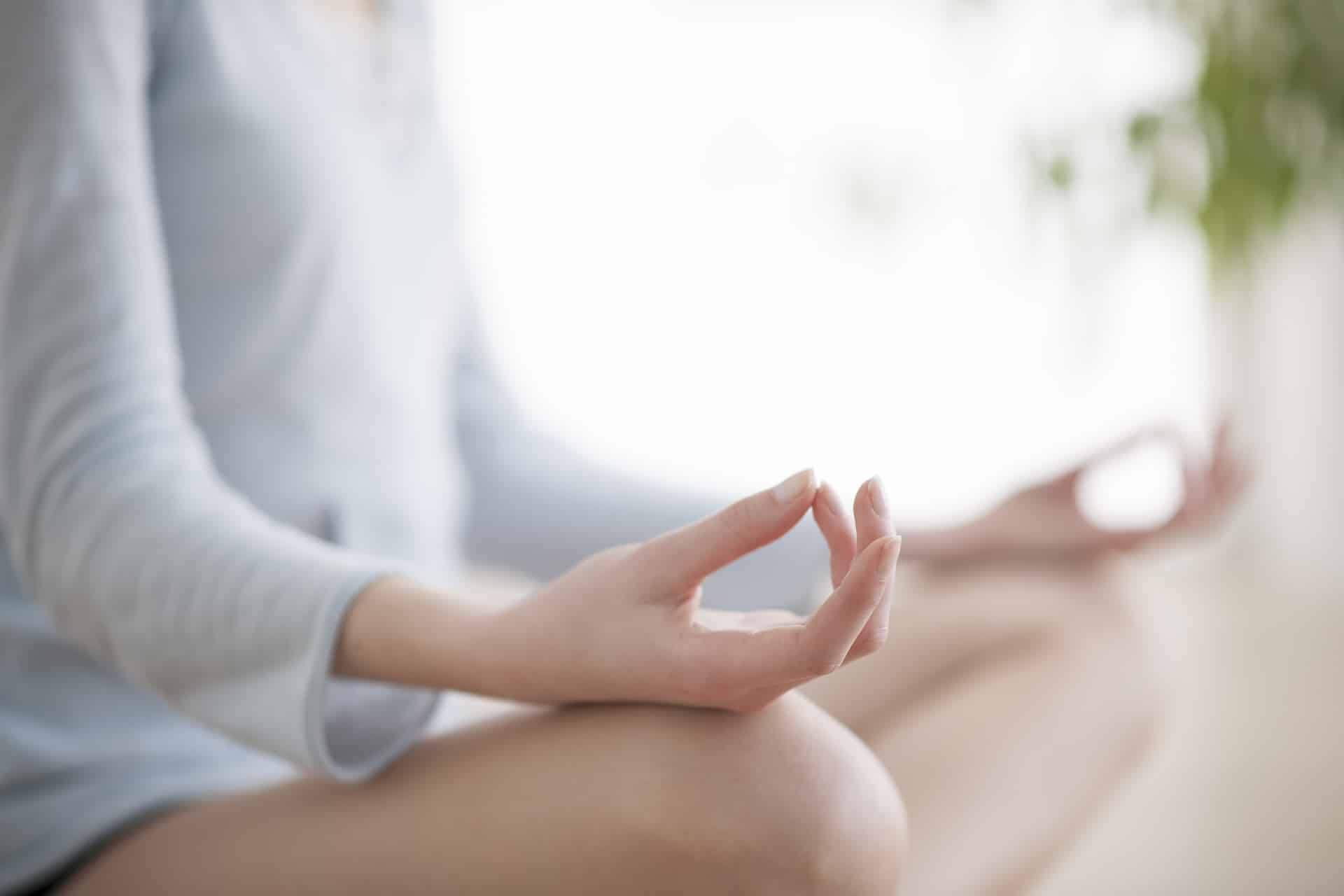 Image for Meditation Techniques for a “Sane” Quarantine post